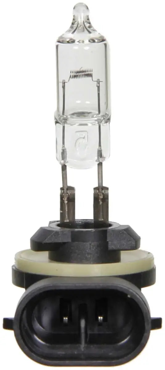 BP886 Headlight Bulb