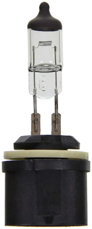BP893 Headlight Bulb