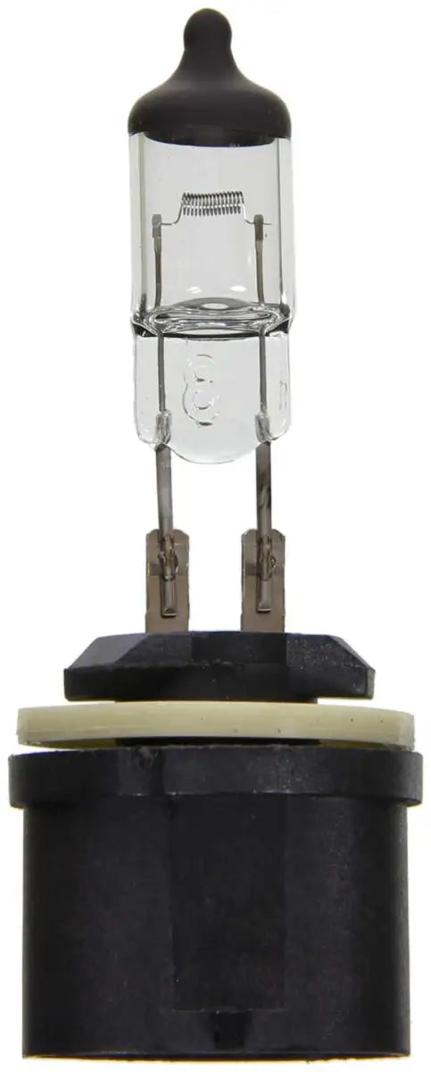 BP893 Headlight Bulb