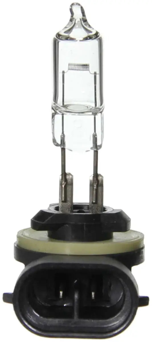 BP894 Headlight Bulb