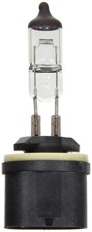 BP899 Headlight Bulb