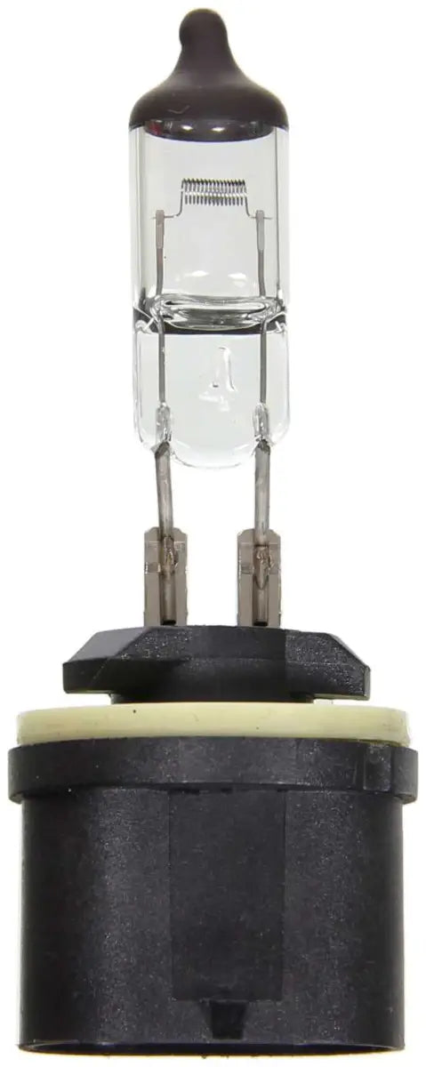 BP899 Headlight Bulb