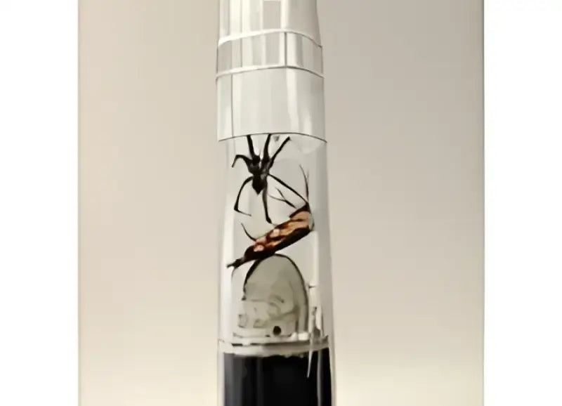 BugZooka WB100 Bug Catcher Vacuum 