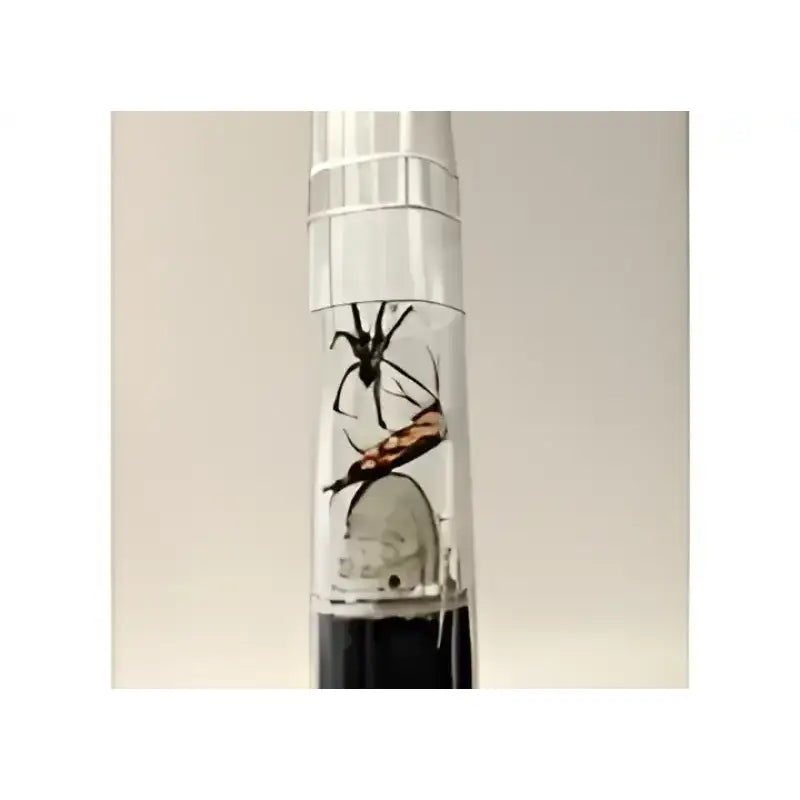BugZooka WB100 Bug Catcher Vacuum 