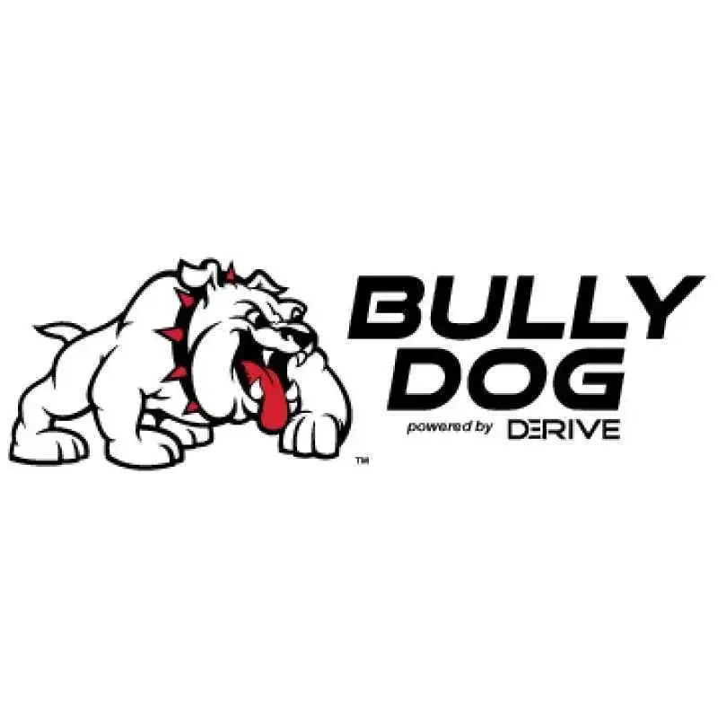 Bully Dog 31310