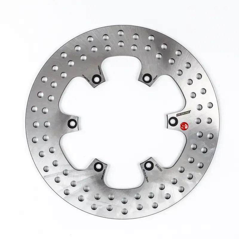 BW05RI Rotor Rear 