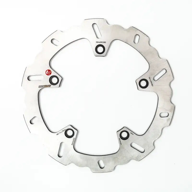 BW06RID Rotor Rear 