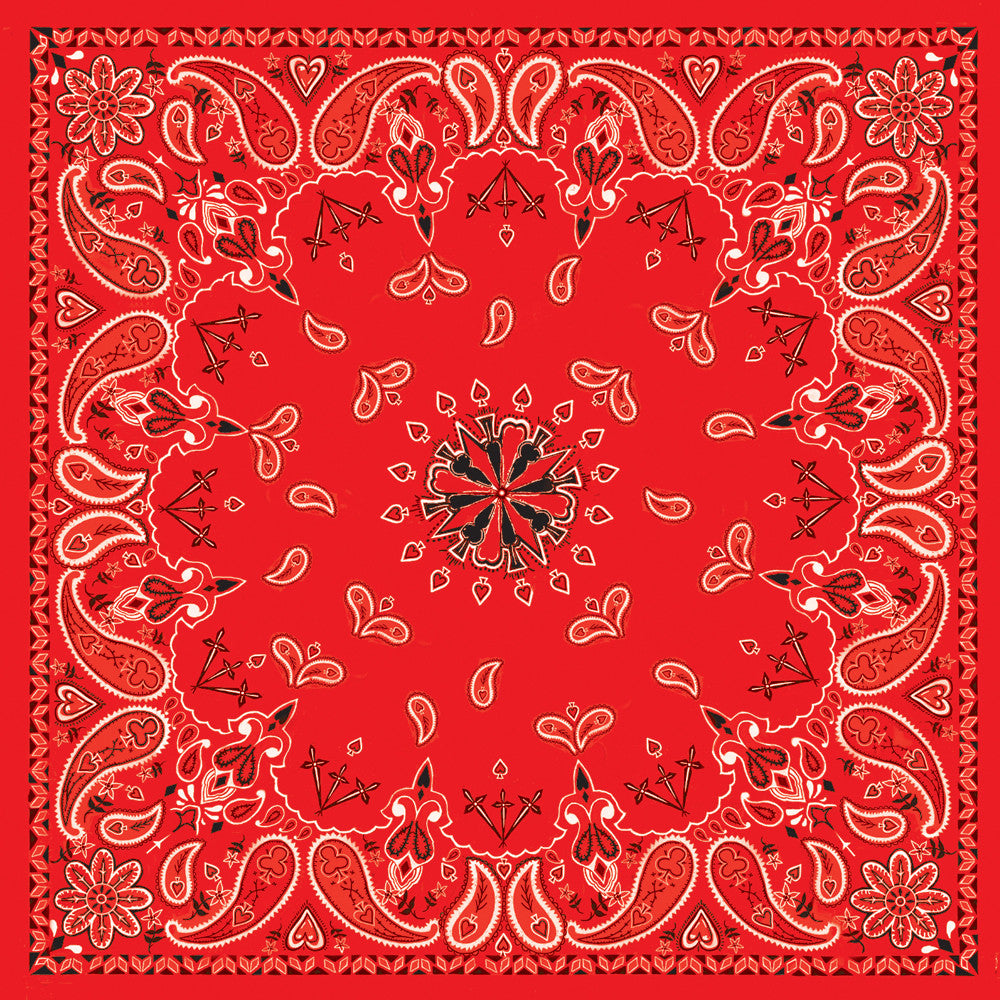 ZAN Bandanna