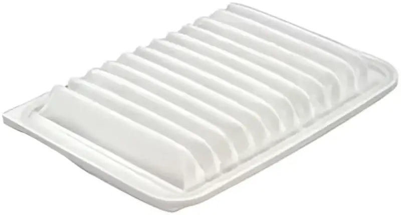 CA10190 Air Filter
