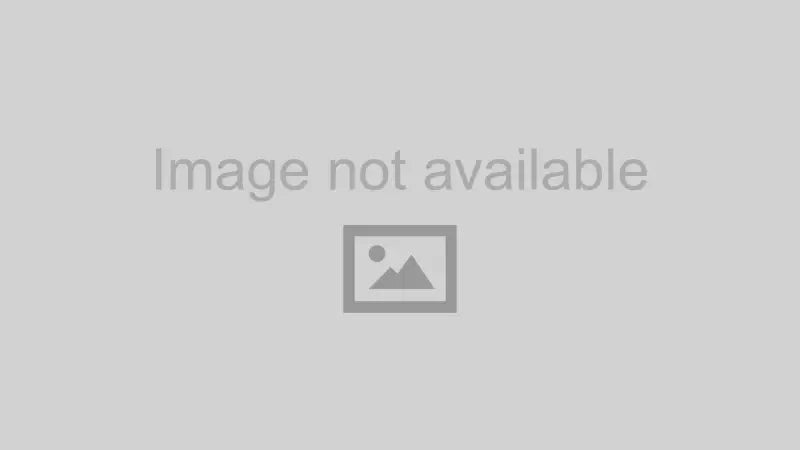 CAFE-19-18LR-S Baggernation Caf Fender Steel `18-22 Low Rider S/St - RV and Auto Parts