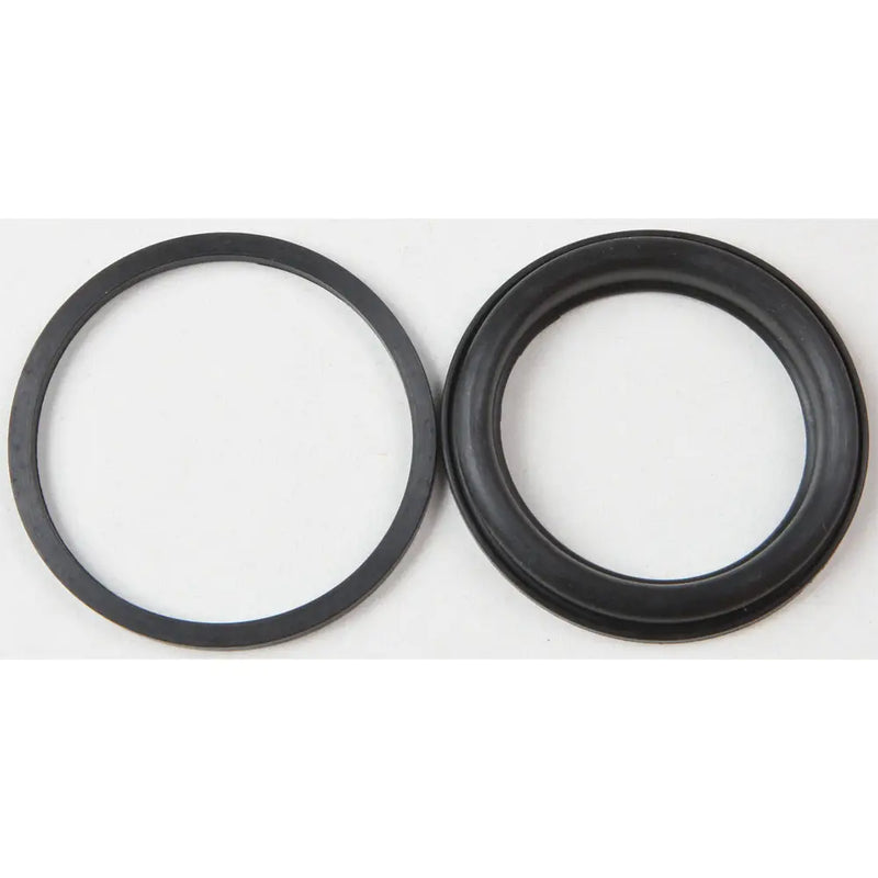 Caliper Rebuild Kit Rear Fxr