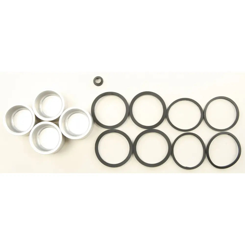 Caliper Rebuild Kit W/Pistons Front Flt