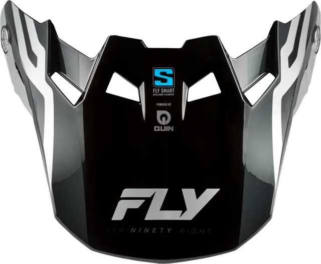 Formula S Carbon Byte Visor Black Carbon/Grey/Silver Xl/2x - FLY RACING