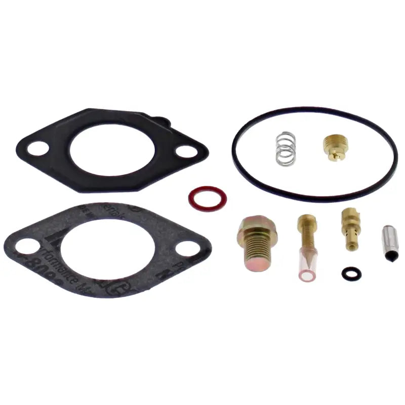 Carburetor Repair Kit 