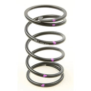 CCH5-L-180-270 H5 Driven Clutch Spring Black/Purple 
