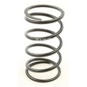 CCH5-N-150-250 H5 Secondary Springs Black 