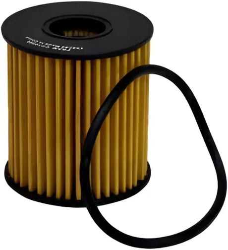 CH10066 Oil Filter