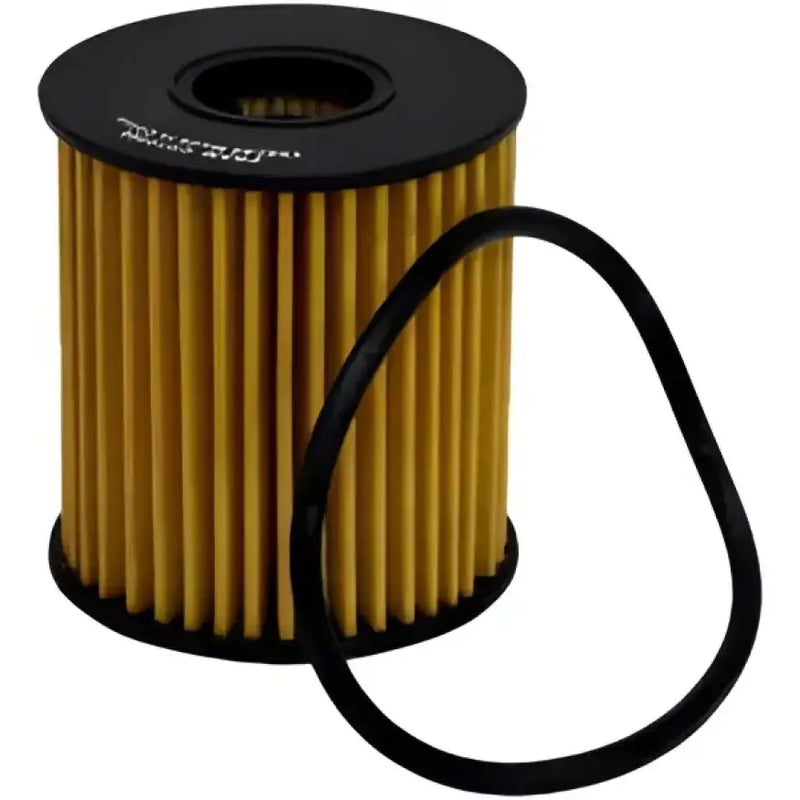 CH10066 Oil Filter
