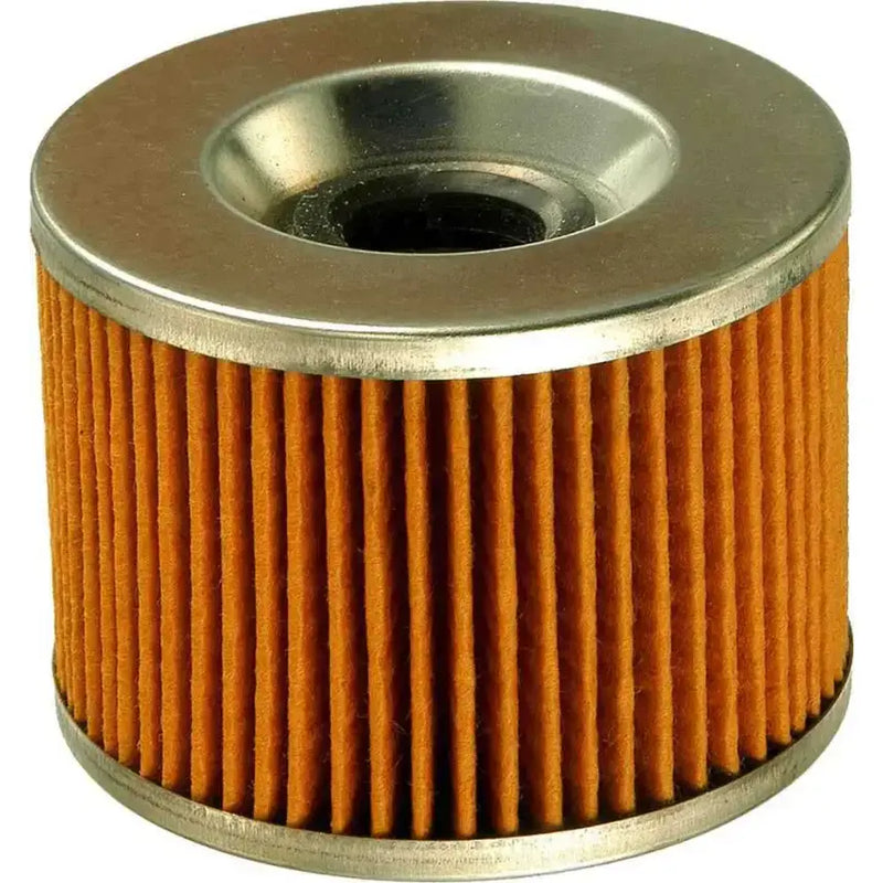FRAM CH6006