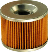 FRAM CH6006