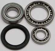 ALL BALLS Chain Case Bearing & Seal Kit for Powersports