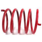 Clutch Spring Pol Red - Powersports