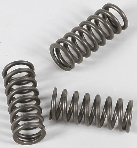 Clutch Springs Csk202 - Powersports
