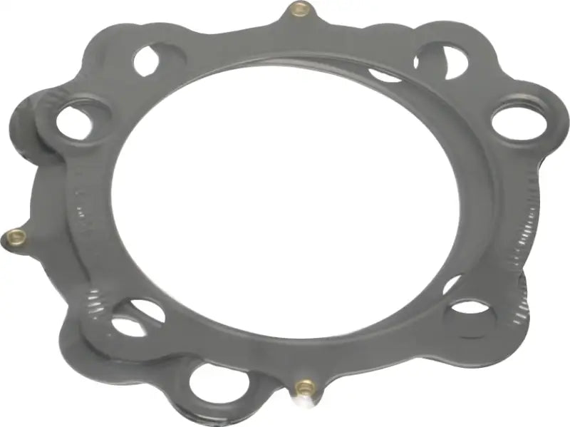 COMETIC Head Gasket 3 13/16" .040" Evo Sportster 2/Pk for Powersports