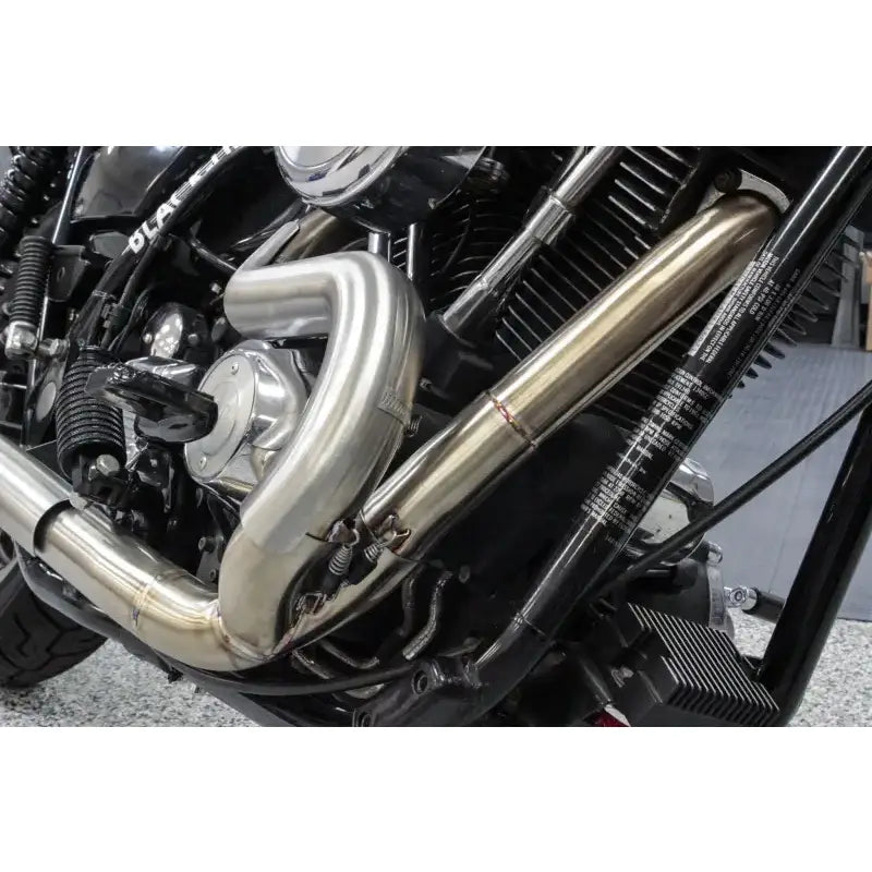 Comp S 2in1 Exhaust Fxr Brushed W/Cf End Cap 