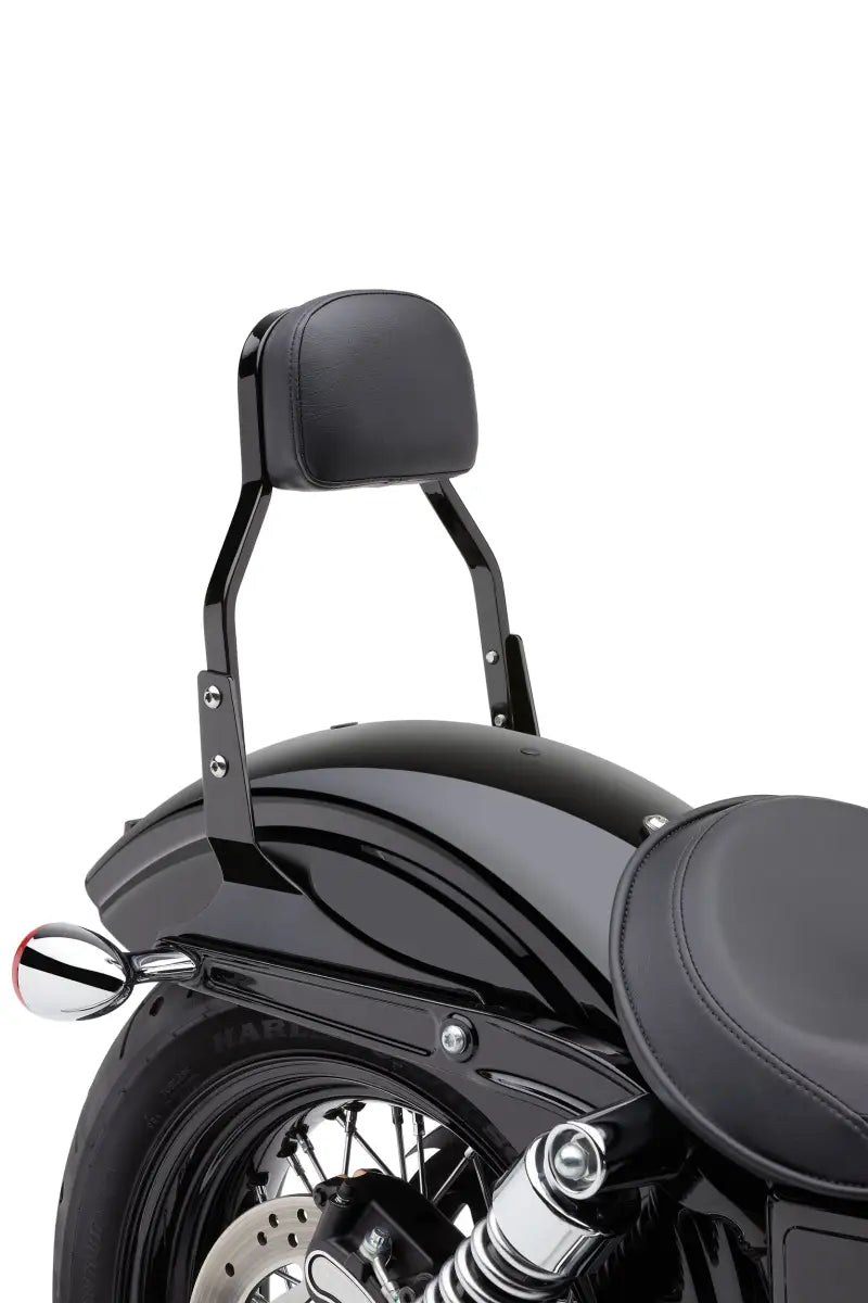 Mini Sissy Bar Black Flh/Flt 07 17 - COBRA