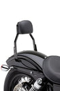 Mini Sissy Bar Black Flh/Flt 07 17 - COBRA
