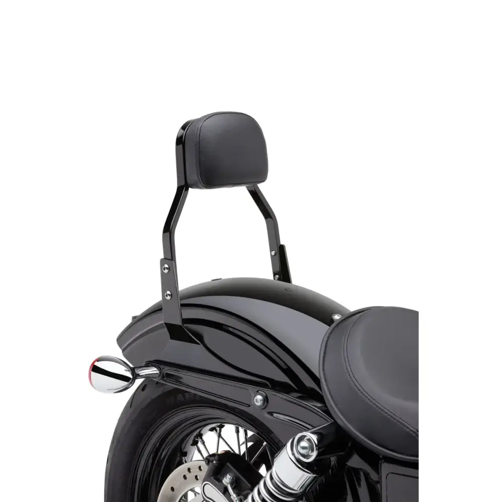 Mini Sissy Bar Black Flh/Flt 07 17 - COBRA