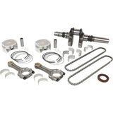 Complete Engine Rebuild Kit