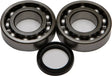 Crankshaft Bearing/Seal Kit - Powersports