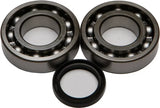 Crankshaft Bearing/Seal Kit - Powersports