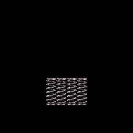 CS130-6-8602 Hinson High Temp Springs 5 Hon - Clutch
