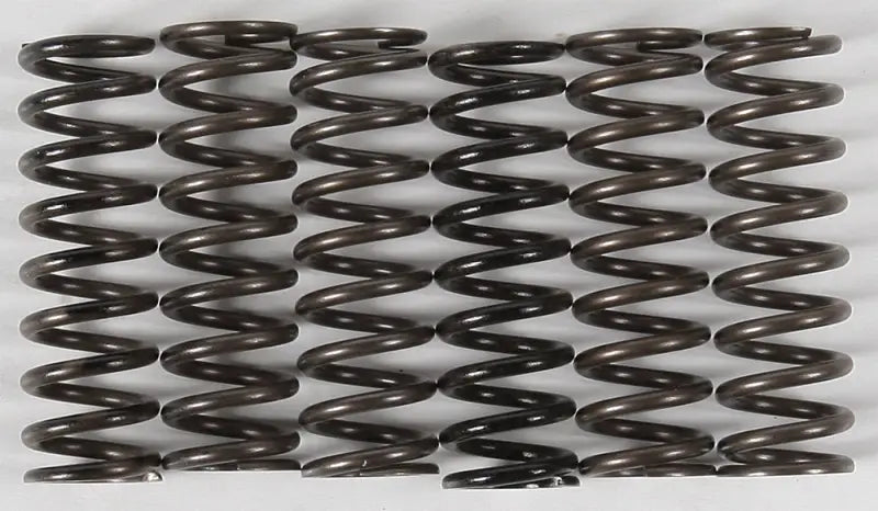 Row of CS216-6-0315 High Temp Springs featuring durable metal coil springs