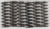 Row of CS216-6-0315 High Temp Springs featuring durable metal coil springs