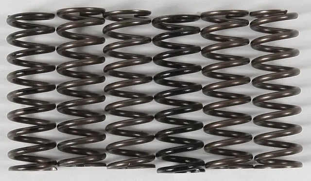 Row of CS216-6-0315 High Temp Springs featuring durable metal coil springs
