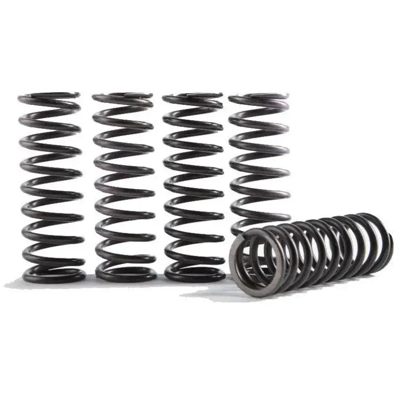 CS290-4-0710 Hinson High Temp Spring 4 Springs Crf150R - RV and Auto Parts