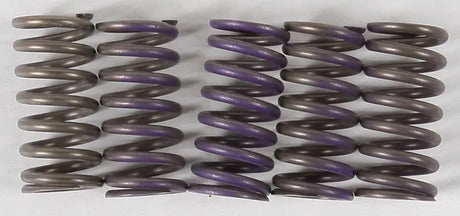 CS341-5-0311 High Temp Springs 5 - Clutch
