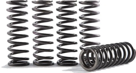 CS373-1-0116 Cs High Temp Spring 1 - Clutch Springs