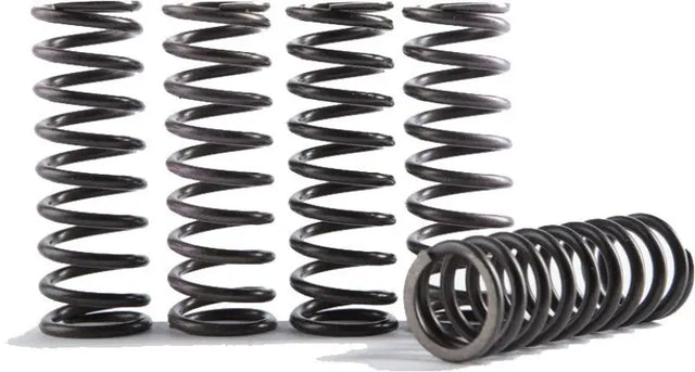 CS373-1-0116 Cs High Temp Spring 1 - Clutch Springs