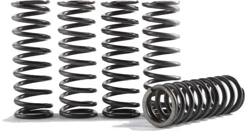 CS373-1-0116 Cs High Temp Spring 1 - Clutch Springs