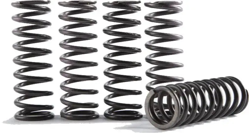 CS373-1-0116 Cs High Temp Spring 1 - Clutch Springs