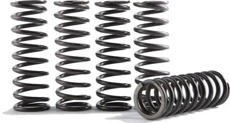 CS373-1-0116 Cs High Temp Spring 1 - Clutch Springs