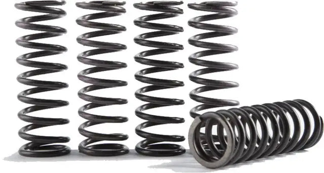 CS373-1-0116 Cs High Temp Spring 1 - Clutch Springs