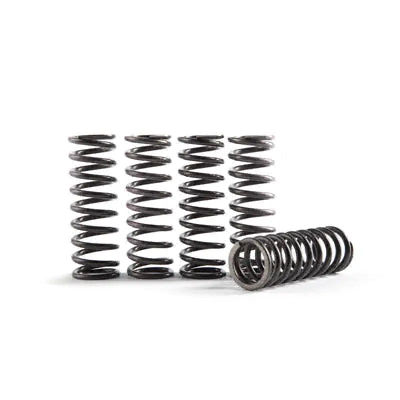 Metal coil springs for CS641-6-1901 Hinson High Temp Clutch Yamaha setup