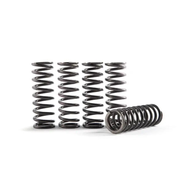 Metal coil springs for CS641-6-1901 Hinson High Temp Clutch Yamaha setup