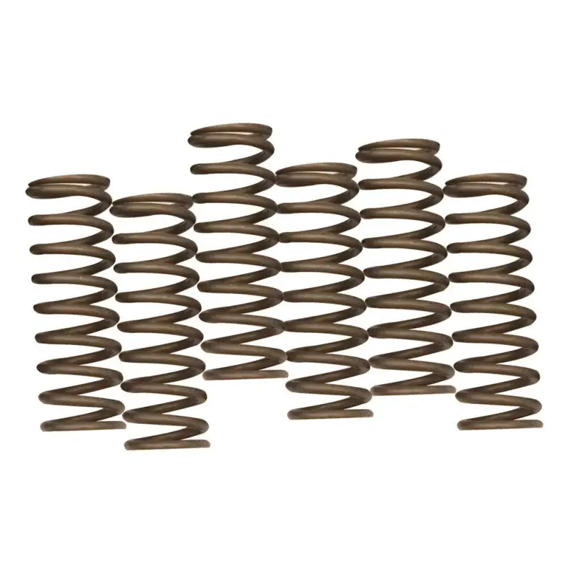 Arrangement of metal coil springs for Hinson clutch CS641-6-1901 Yamaha parts